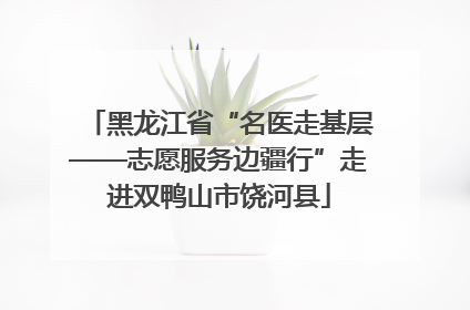 黑龙江省“名医走基层——志愿服务边疆行”走进双鸭山市饶河县