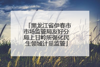 黑龙江省伊春市市场监管局友好分局上甘岭所强化民生领域计量监管