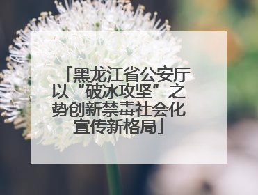 黑龙江省公安厅以“破冰攻坚”之势创新禁毒社会化宣传新格局