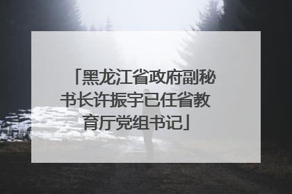 黑龙江省政府副秘书长许振宇已任省教育厅党组书记