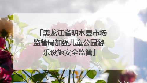 黑龙江省明水县市场监管局加强儿童公园游乐设施安全监管