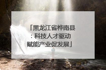 黑龙江省桦南县：科技人才驱动 赋能产业促发展