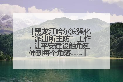 黑龙江哈尔滨强化“派出所主防”工作，让平安建设触角延伸到每个角落……