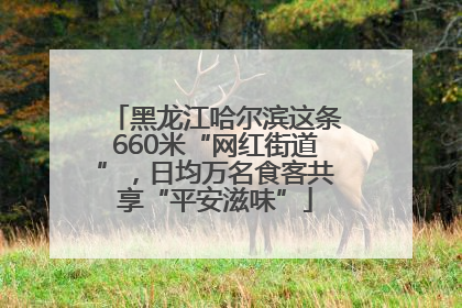 黑龙江哈尔滨这条660米“网红街道”，日均万名食客共享“平安滋味”