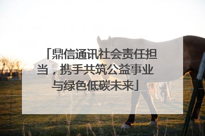 鼎信通讯社会责任担当，携手共筑公益事业与绿色低碳未来