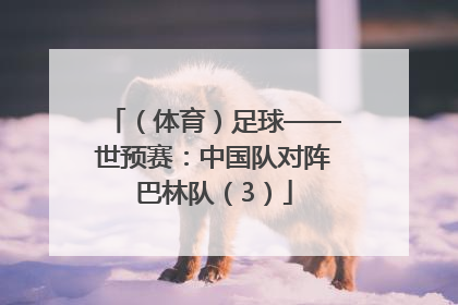 （体育）足球——世预赛：中国队对阵巴林队（3）