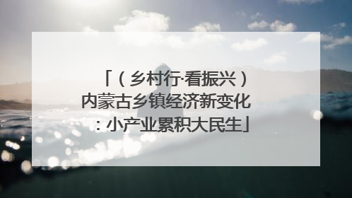 （乡村行·看振兴）内蒙古乡镇经济新变化：小产业累积大民生