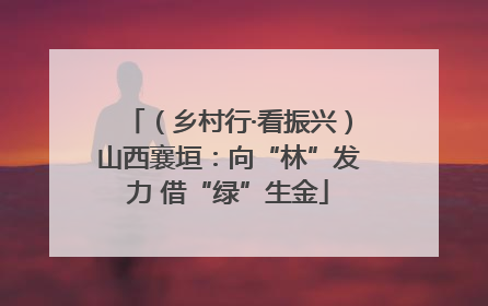 （乡村行·看振兴）山西襄垣：向“林”发力 借“绿”生金