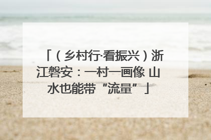（乡村行·看振兴）浙江磐安：一村一画像 山水也能带“流量”