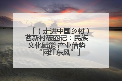 （走进中国乡村）茗新村破圈记：民族文化赋能 产业借势 “网红东风”
