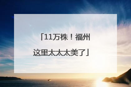 11万株！福州这里太太太美了