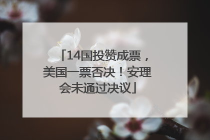 14国投赞成票，美国一票否决！安理会未通过决议