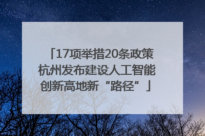 17项举措20条政策 杭州发布建设人工智能创新高地新“路径”