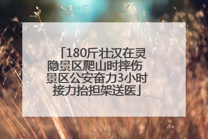180斤壮汉在灵隐景区爬山时摔伤 景区公安奋力3小时接力抬担架送医
