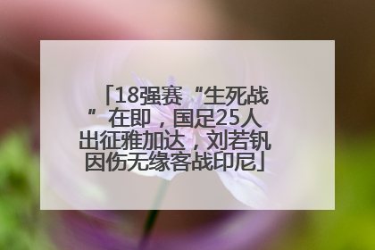 18强赛“生死战”在即，国足25人出征雅加达，刘若钒因伤无缘客战印尼