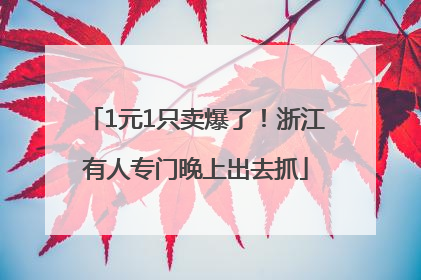 1元1只卖爆了！浙江有人专门晚上出去抓