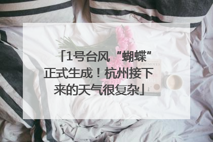 1号台风“蝴蝶”正式生成！杭州接下来的天气很复杂