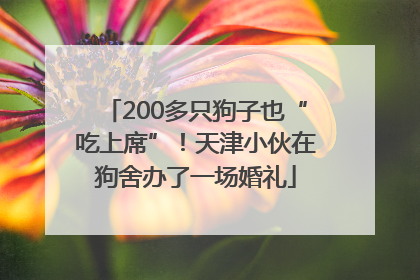 200多只狗子也“吃上席”！天津小伙在狗舍办了一场婚礼