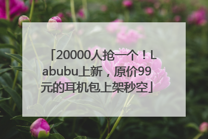 20000人抢一个！Labubu上新，原价99元的耳机包上架秒空