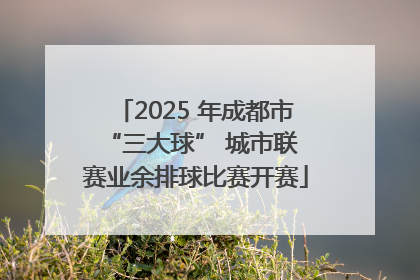 2025 年成都市 “三大球” 城市联赛业余排球比赛开赛