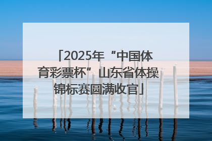 2025年“中国体育彩票杯”山东省体操锦标赛圆满收官