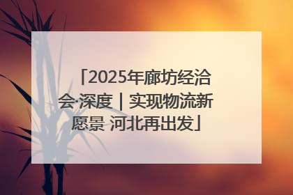 2025年廊坊经洽会·深度｜实现物流新愿景 河北再出发