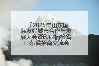 2025年山东国际友好城市合作与发展大会暨印尼楠榜省·山东省招商交流会在济南槐荫举行