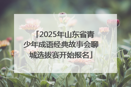 2025年山东省青少年成语经典故事会聊城选拔赛开始报名