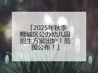 2025年秋季鲤城区公办幼儿园招生方案出炉！范围公布！