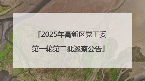 2025年高新区党工委第一轮第二批巡察公告