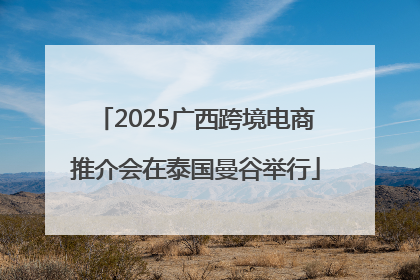 2025广西跨境电商推介会在泰国曼谷举行