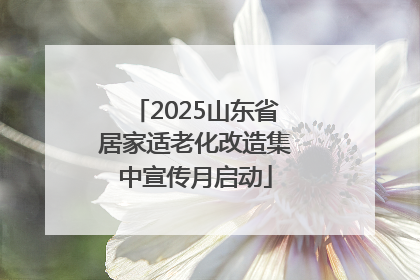 2025山东省居家适老化改造集中宣传月启动