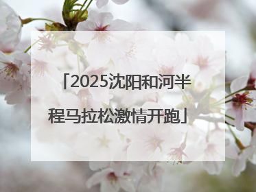 2025沈阳和河半程马拉松激情开跑