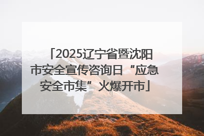 2025辽宁省暨沈阳市安全宣传咨询日“应急安全市集”火爆开市