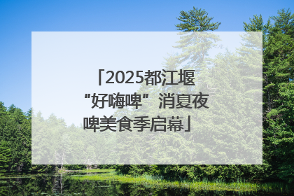 2025都江堰“好嗨啤”消夏夜啤美食季启幕