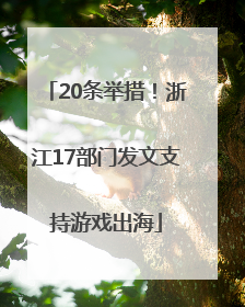 20条举措！浙江17部门发文支持游戏出海