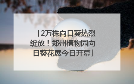 2万株向日葵热烈绽放！郑州植物园向日葵花展今日开幕
