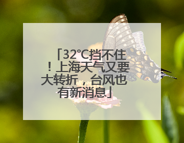 32℃挡不住！上海天气又要大转折，台风也有新消息