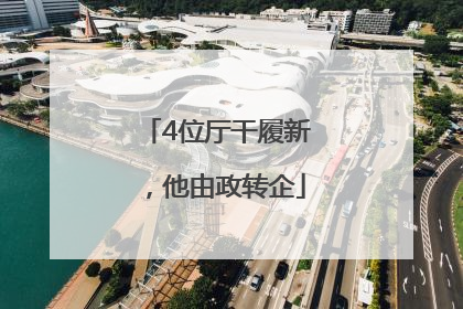 4位厅干履新，他由政转企