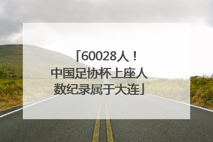 60028人！中国足协杯上座人数纪录属于大连