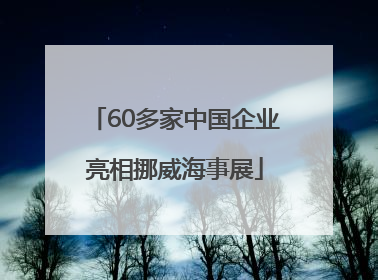 60多家中国企业亮相挪威海事展