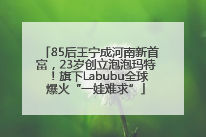 85后王宁成河南新首富，23岁创立泡泡玛特！旗下Labubu全球爆火“一娃难求”