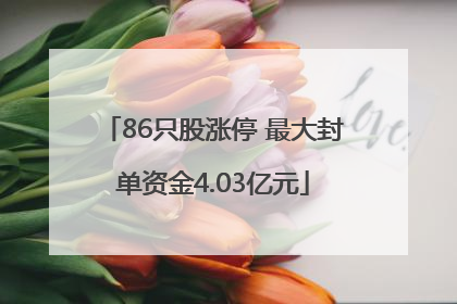 86只股涨停 最大封单资金4.03亿元
