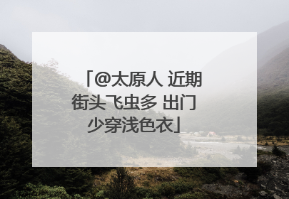 @太原人 近期街头飞虫多 出门少穿浅色衣