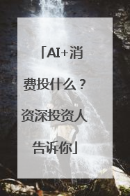 AI+消费投什么？资深投资人告诉你