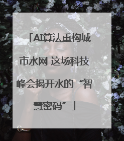 AI算法重构城市水网 这场科技峰会揭开水的“智慧密码”