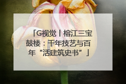 G视觉丨榕江三宝鼓楼：千年技艺与百年“活建筑史书”