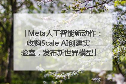 Meta人工智能新动作：收购Scale AI创建实验室，发布新世界模型